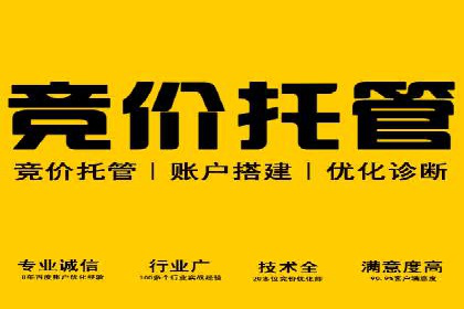 行业专家眼中的SEM竞价培训：成功要素与挑战